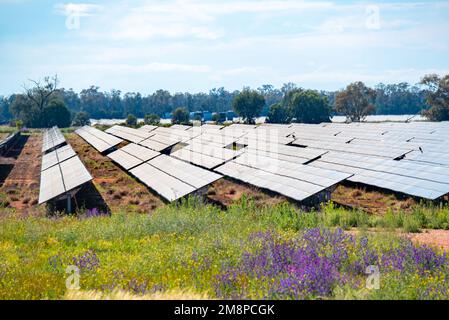 The large solar panel farm Nyngan in northwest New South Wales, Australia, covers 288Ha of land and produces 233,000 megawatt hours of power annually Stock Photo