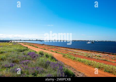 The large solar panel farm Nyngan in northwest New South Wales, Australia, covers 288Ha of land and produces 233,000 megawatt hours of power annually Stock Photo