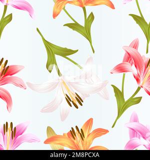 Seamless texture stem Lily flower yellow white pink yellow red  Lilium candidum nature background  vintage vector illustration editable Hand draw Stock Vector