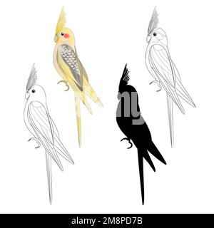 Yellow cockatiel cute tropical bird funny  parrot watercolor style silhouette of the outline on a white background vintage vector illustration editabl Stock Vector