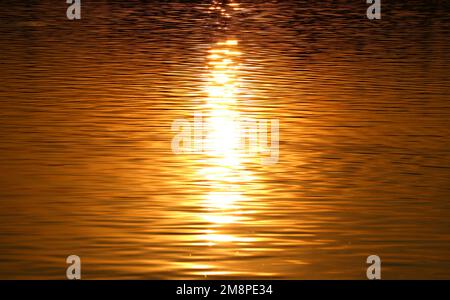 Golden Reflections of the Sunrise on Water Surface Stock Photo
