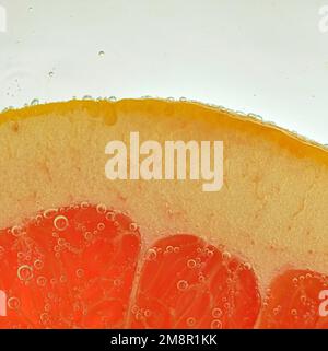 Close-up of fresh grapefruit slice on white background. Slice of red grapefruit in sparkling water on white background, close-up. Horizontal image. Stock Photo