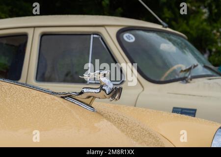 Figurine of deer on the hood of GAZ M21 Volga at Classic Soviet Car Exhibition Stock Photo