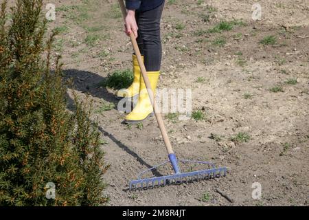 Fine garden clearance rake