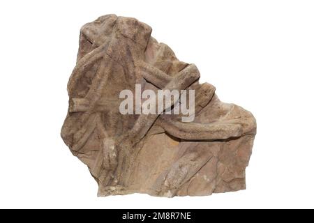 Trace Fossil Paleophycus herberti Stock Photo