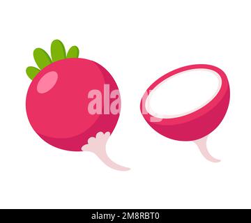 Cartoon radish icon, whole and cut. Flat vector style clip art illustration. Stock Vector