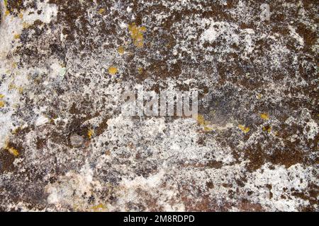 Stone surface with lichen. Natural background for design purposes Stock Photo