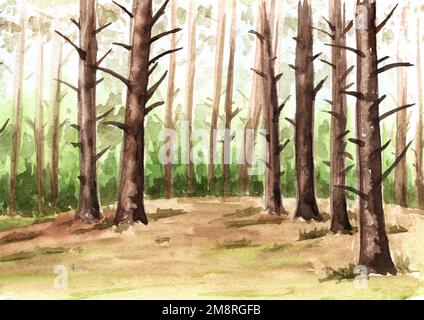 Watercolor forest tree. Hand drawn pine trees illustration Stock Photo ...