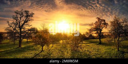 Golden sunrise with dramatic sky and color mood over rural landscape with trees on a meadow Stock Photo