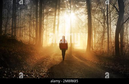 Male hiker walking into the bright gold rays of light in a misty forest, landscape shot with dramatic beautiful lighting mood Stock Photo