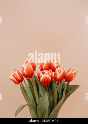 Aesthetic background with bunch of red tulips on beige champagne background. Vertical image of perfect tulips with copy space for text. Spring flowers. Sell tulips. Spring mood. Top view or flat lay Stock Photo