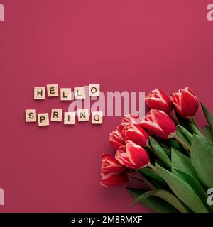 Hello spring concept in Viva Magenta red color. Aesthetic background for beginning of spring. Hello spring text and bunch of red tulip on red Viva Magenta Color 2023 background. Top view or flat lay Stock Photo