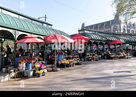 Interesting flower market in the centre of a Tbilisi, capitol city of Georgia Stock Photo