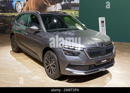 New Skoda Kamiq Grey £22,595