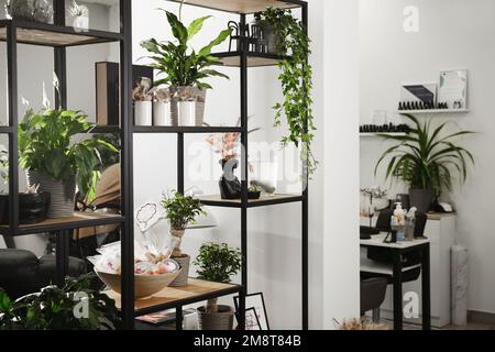 Manicure beauty salon. Cozy interior of manicure salon with stylish shelves and green plants. Eco Design concept  Stock Photo