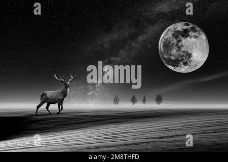 Adult deer with big antlers in the snow on a winter field against the background of stars, trees and a big moon. Black and white Stock Photo