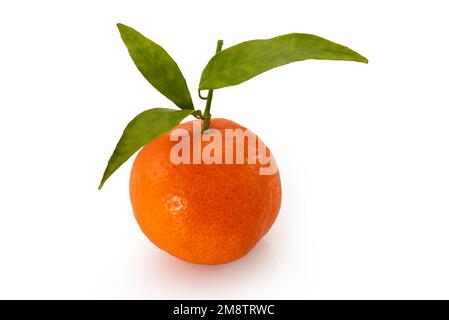 Ripe tangerine with green leaves, mandarin isolated on white with clipping path Stock Photo
