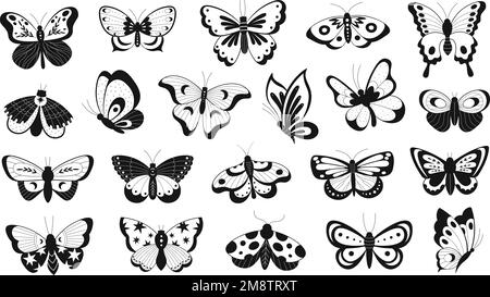 Butterfly Stencil Black And White Clipart Images For Free Download  Pngtree