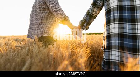 A couple of farmers in plaid shirts and caps holding hands on agricultural field of wheat at sunset Stock Photo