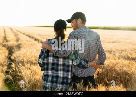 A couple of farmers in plaid shirts and caps stand embracing on agricultural field of wheat at sunset Stock Photo