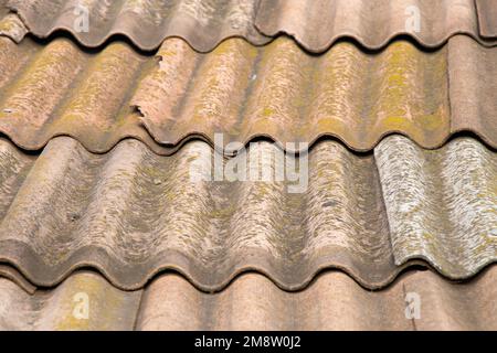 old slate tile on a house close-up Stock Photo