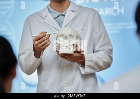Cropped shot of doctor pointing at skull model during lecture or seminar in med college, explaining bone structure and brain surgery methods Stock Photo