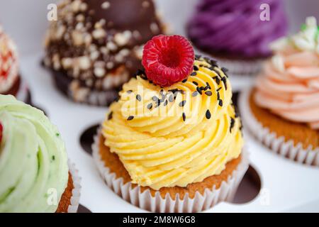 Colorful cupcakes with cream frosting and berries on top. Vanilla, chocolate, blueberry and raspberry cupcakes. Party box with fruit and berry muffins Stock Photo