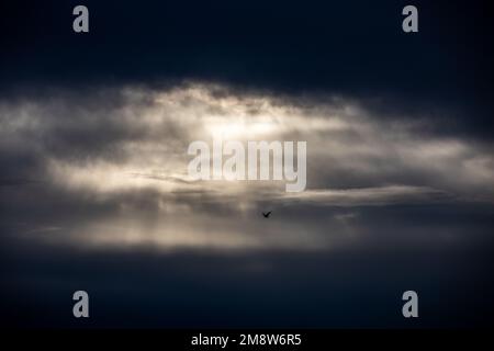 Dramatic, dark storm clouds in sky - rays of light streaming through Stock Photo