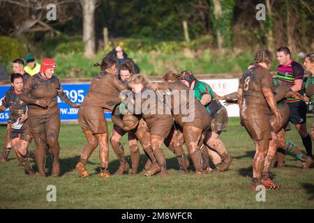 Rugby 2024 games today