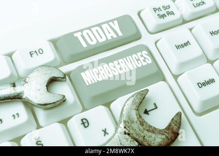 Hand writing sign Microservices. Business overview Software development technique Building single function module Stock Photo