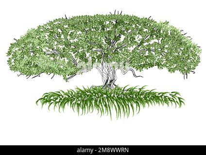 big tree vector illustration isolated on white background Stock Vector