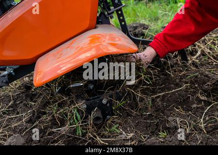 Cleaning of cultivator milling cutters Elymus repens, couch grass. A dangerous weed that interferes with the cultivation of the soil with a cultivator Stock Photo