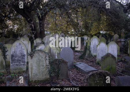 Headstones in Brompton Cemetery, West London England UK Stock Photo