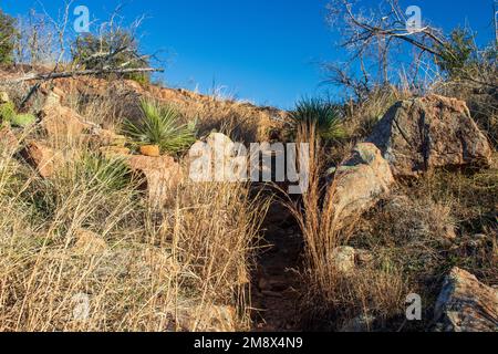 Texas Hill Country hiking trail leads up a hill with colorful granite boulders, tall grass, cacti on a sunny day at Inks Lake State Park Burnet Texas. Stock Photo