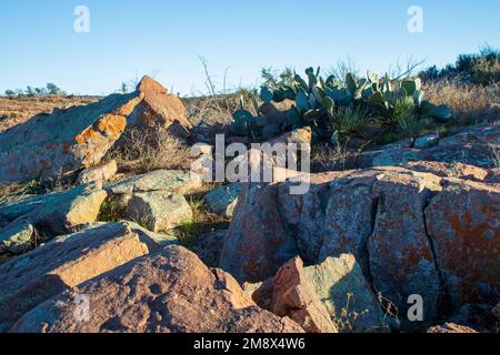 Texas Hill Country hiking trail has beautiful granite boulders and cactus plants growing in the aired soil at Inks Lake State Park Burnet Texas. Stock Photo