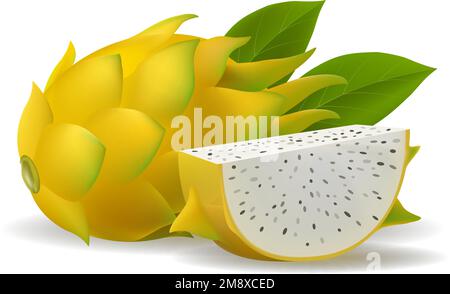 Yellow dragon fruit Stock Vector