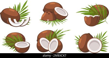 Cartoon coconuts icons Stock Vector