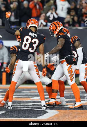 Cincinnati, United States. 15th Jan, 2023. Cincinnati Bengals wide receiver  JaMarr Chase (1) celebrates his touchdown against the Baltimore Ravens with  teammates during the first half of play in the AFC Wild