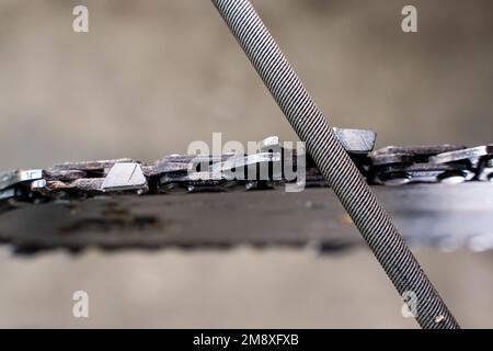 A round file sharpens a saw chain on a chainsaw bar close-up on a ...