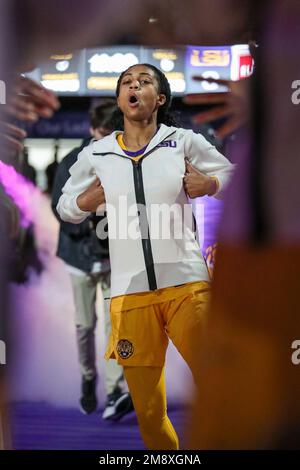lsu head basketball coach lsu head basketball coach