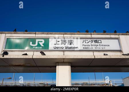 Tokyo, Japan. 9th Jan, 2023. East Japan Railways Ueno Station.Ueno Station (ä¸Šé‡Žé§…) is a major transportation hub in northern Tokyo. Served by multiple train lines including JR East's Yamanote, Keihin-Tohoku, Takasaki and Utsunomiya Lines, Tokyo Metro's Ginza and Hibiya Lines and Keisei Electric Railway's Ueno-Keisei Line. Mass transit, heavy rail, infastructure, rush hour, commuting. (Credit Image: © Taidgh Barron/ZUMA Press Wire) EDITORIAL USAGE ONLY! Not for Commercial USAGE! Stock Photo