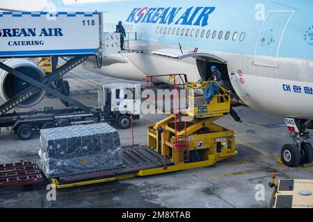 Seoul, Korea. 22nd Dec, 2022. Crews load palletized cargo strapped down for weigh and balance purposes into a Korean Air Airbus A330 as it is prepared for a flight to Japan by the ramp crew loading freight cargo, baggage and catering supplies in freezing temperatures.Korean Air (KE) is the flag carrier airline of South Korea, based in Seoul. It is one of the world's top 20 airlines and a member of the SkyTeam airline alliance. The airline operates its main hub at Incheon International Airport (ICN) and its secondary hub at Gimpo International Airport (GMP) in Seoul. Korean Air offers inte Stock Photo