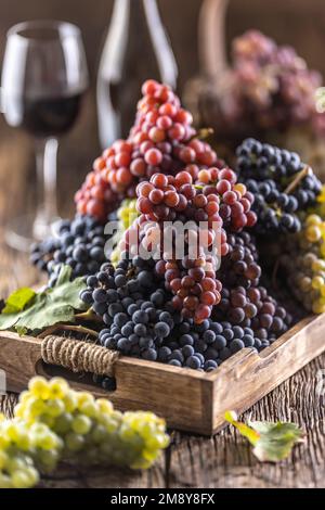 Juicy bunches of grapes in a wooden box, red wine in the background. Stock Photo