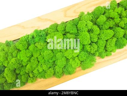 Close-up surface of the wall covered with green moss. Modern eco friendly decor made of colored stabilized moss. Natural background Stock Photo