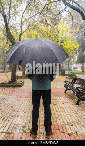Mature man covered with big black umbrella. Visible sliding thick raindrops Stock Photo