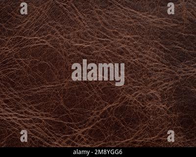 Genuine luxury dark brown vintage leather texture sample. Textured backdrop or background effective for design, upholstered furniture, clothing Stock Photo