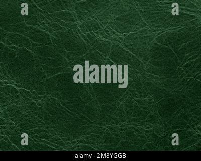 Green luxury quality leather, natural material with design lines pattern. Use as wallpaper or backdrop luxury event, design upholstered furniture Stock Photo