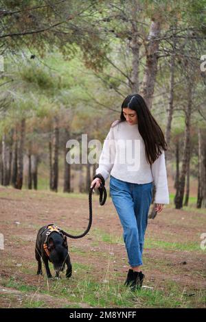 Young caucasian woman walking a mixed breed dog at a pine forest. Stock Photo
