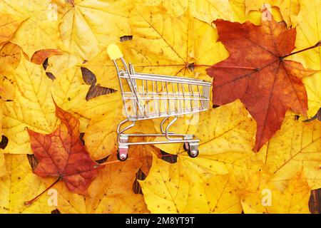Autumn Leaves background with shopping cart. autumn discount and sale concept. Stock Photo