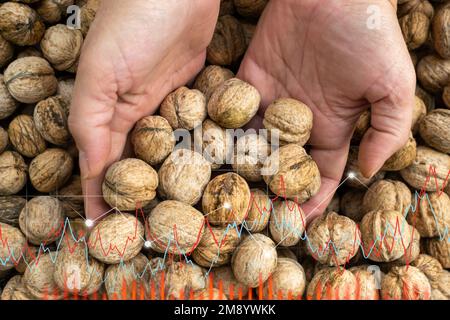 Growing walnuts digital graph. Futuristic technology trend. Sustainable development. Stock Photo